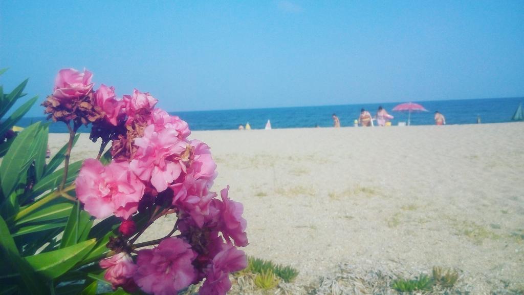 Island Apartments Vrasná المظهر الخارجي الصورة